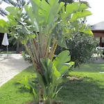 Apartamento Monte Dos Avós, By Algarveblossom
