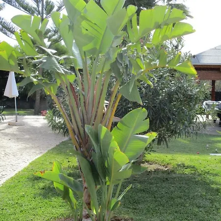 Апартаменты Monte Dos Avos, By Algarveblossom