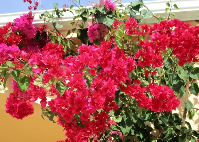 Appartement Monte Dos Avos, By Algarveblossom *