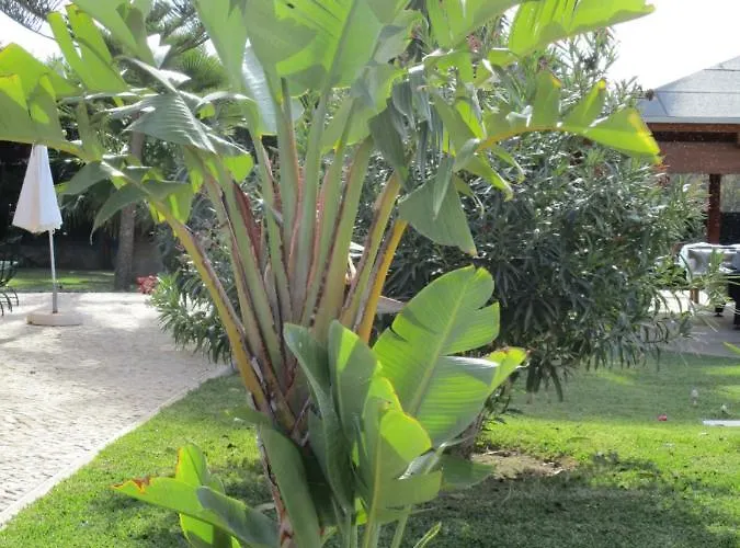 Appartement Monte Dos Avos, By Algarveblossom